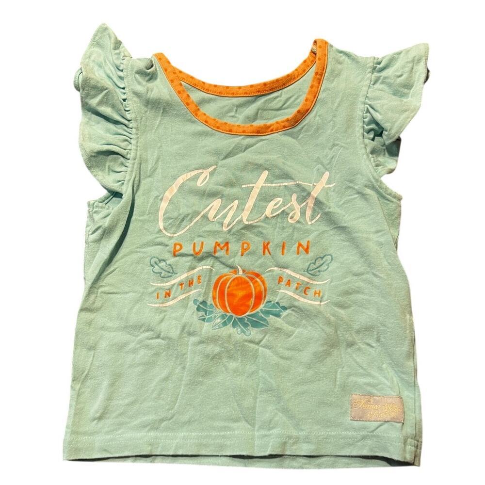 Eleanor Rose Pumpkin Lynn Tee & Kristina Skort Set Size 3 -4